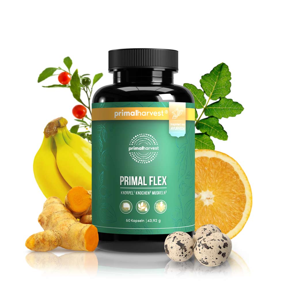 Artro Flex - Primal Flex