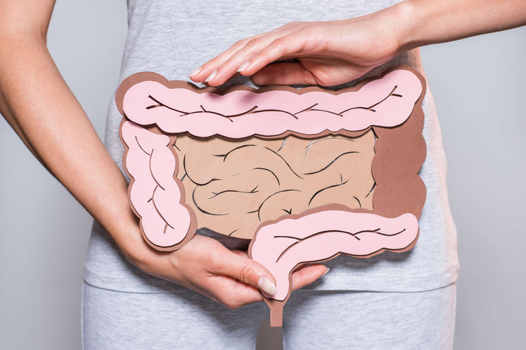 Intestino nervioso